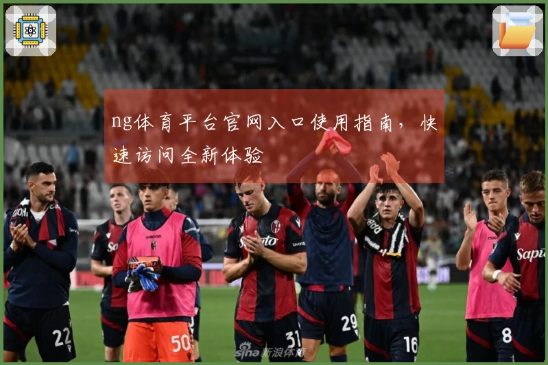 ng体育平台官网入口使用指南，快速访问全新体验