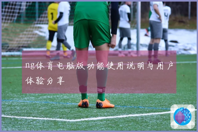 ng体育电脑版功能使用说明与用户体验分享