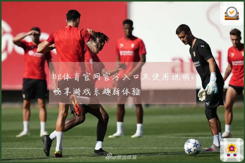 ng体育官网官方入口及使用说明，畅享游戏乐趣新体验