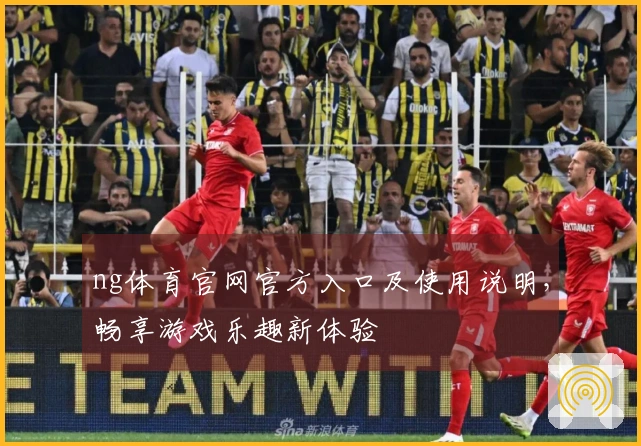 ng体育官网官方入口及使用说明，畅享游戏乐趣新体验