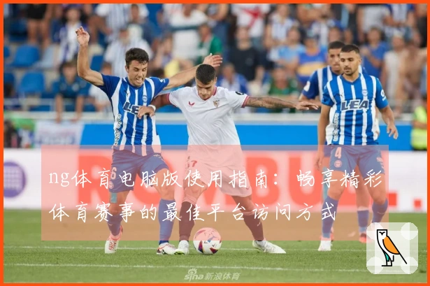 ng体育电脑版使用指南：畅享精彩体育赛事的最佳平台访问方式